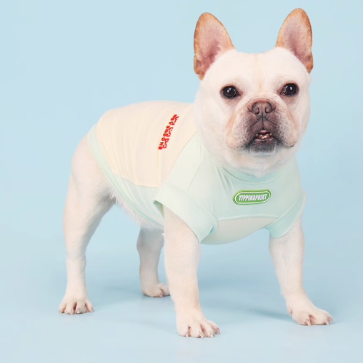 Summer Vest – Elastic Breathable Uv Bug Protection Clothes Winter Wear