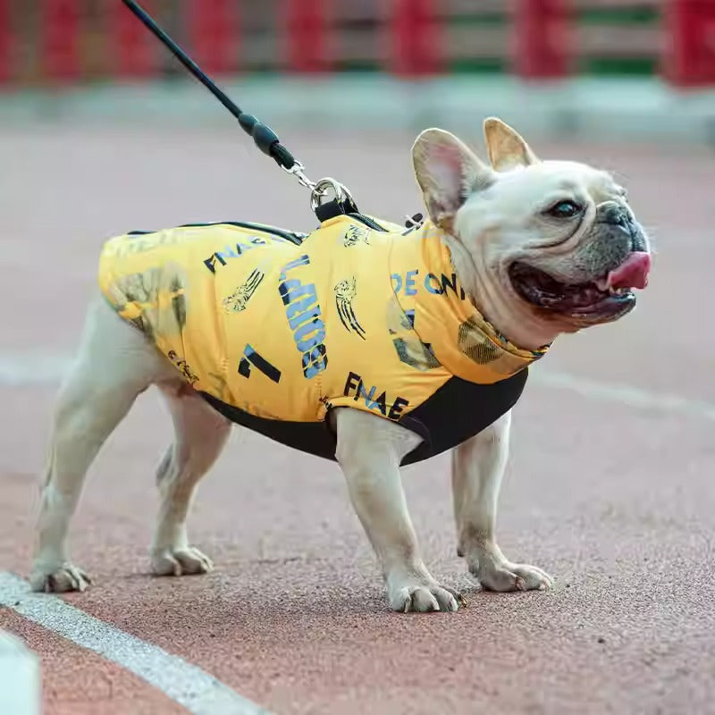 - Comfortable Premium Frenchie Jacket Outdoor Use | Non-slip Design
