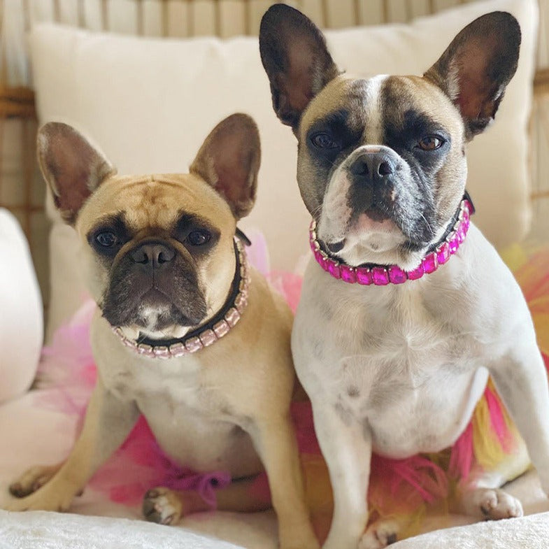 French Bulldog Diamondpaws Luxury Frenchie Collar Rhinestone Necklace