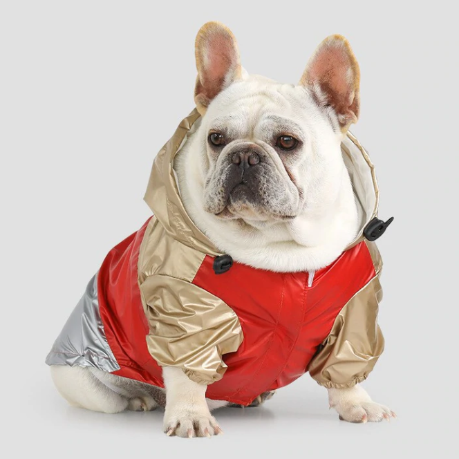 Culture-Inspired Classy™ French Bulldog Raincoat (wj73) for Everyday