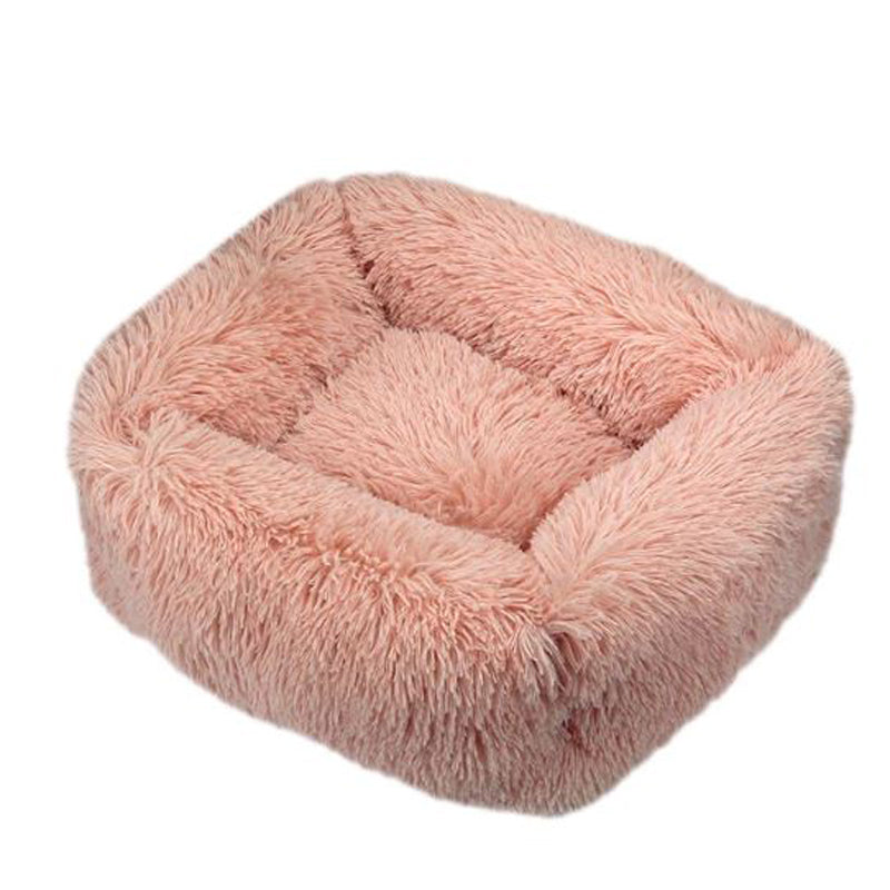 Indoor-Play Pawsrest Premium Rectangle French Bulldog Bed for Training