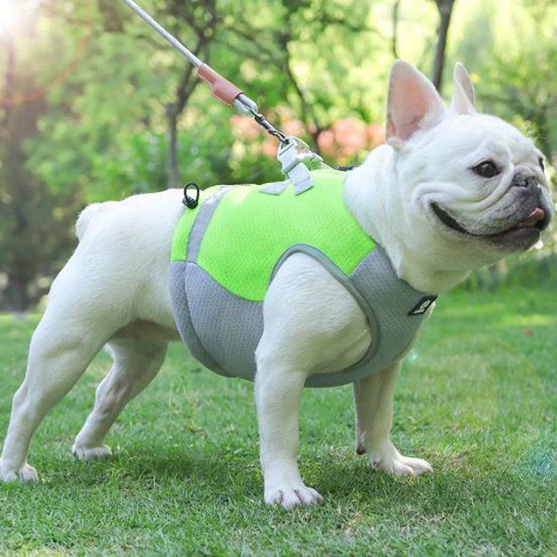 Frenchie Summer Reflective Cooling Vest