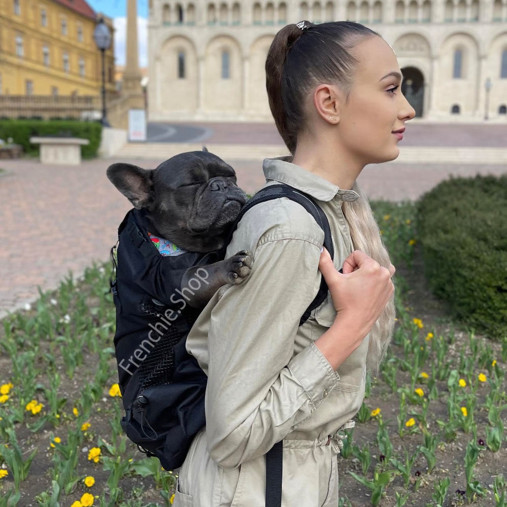 Durable Premium Frenchie Backpack™ [v1] (cs03) Indoor Use