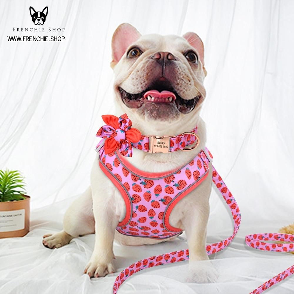 Pressure-Balanced Fruit Harness For French Bulldog (w321) for Outdoor