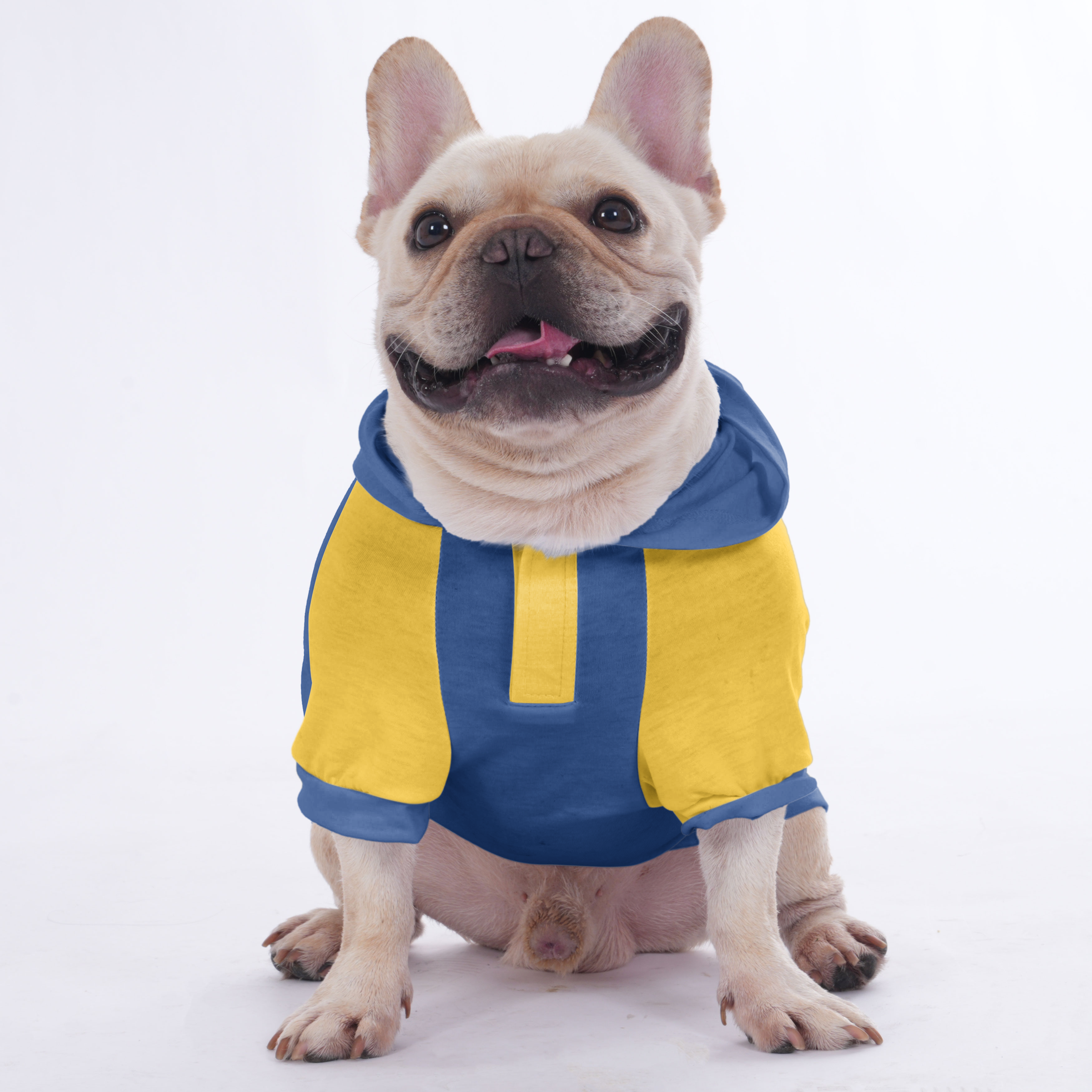 Your Pet’s Name & Number | Frenchie Shop Original Frenchie Themed Wear