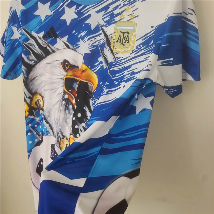 Authentic Argentina 2022 Commemroative Edition Soccer Jersey Football