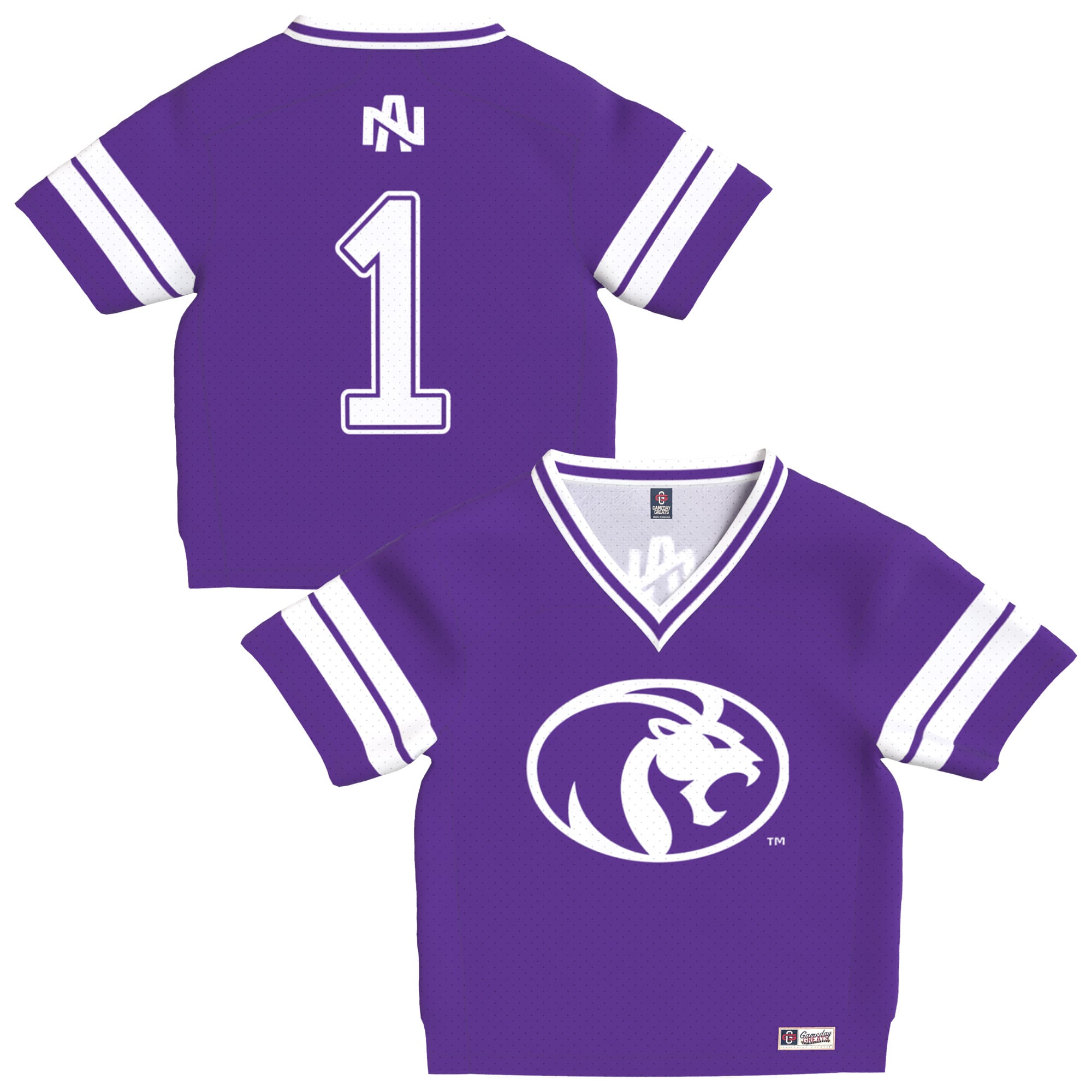 Toddler Purple North Alabama Lions Lightweight Collegiate Football Fashion Jersey
