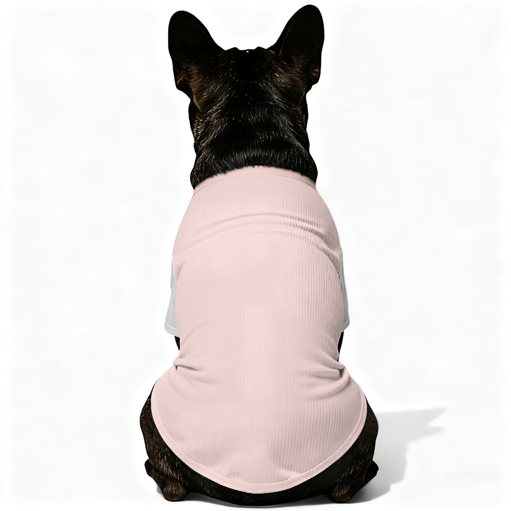 Fashion-Forward Trendy Rollo - Wool Sweater For Frenchies for Daily Life