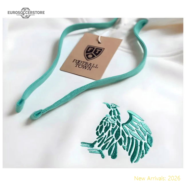 Official Mexico El 20242025 Regular Hoodie Retro Breathable