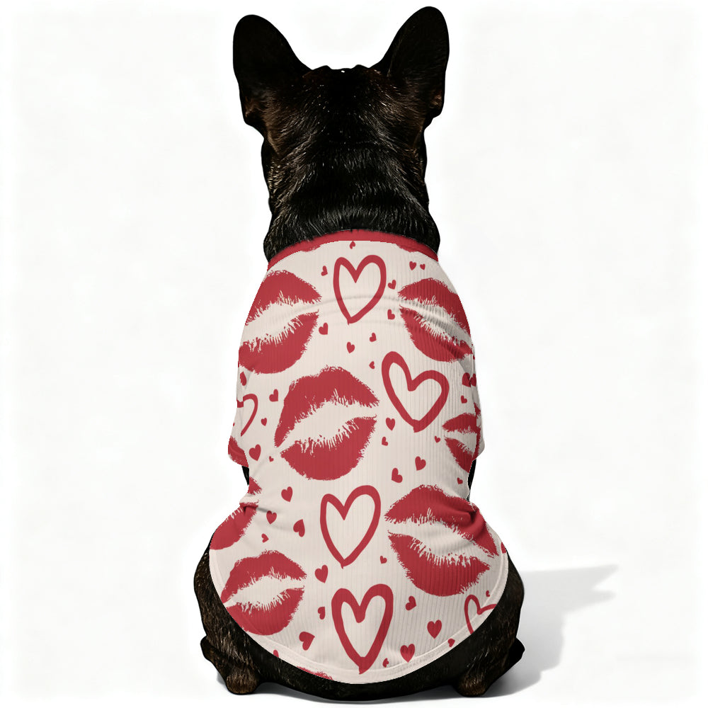 Stylish Boone - Wool Sweater For Frenchies for Daily Life Stylish