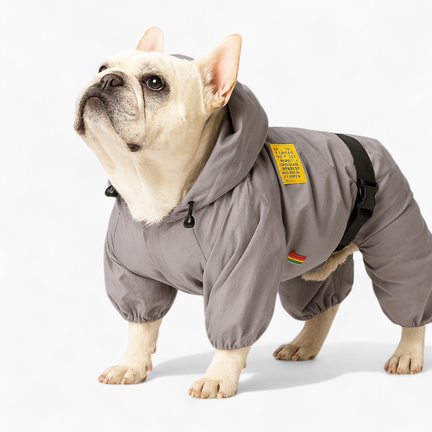 Stylish Furiva Frenchie Reflective Raincoat – Soft Lightweight Waterp...