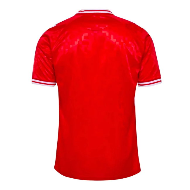 Denmark Home Shirt 2024-2025 edition (Men