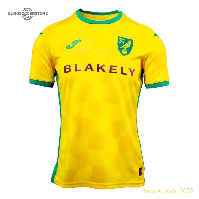 2024-2025 Norwich Home Shirt - Match Day Jersey - Premium Quality