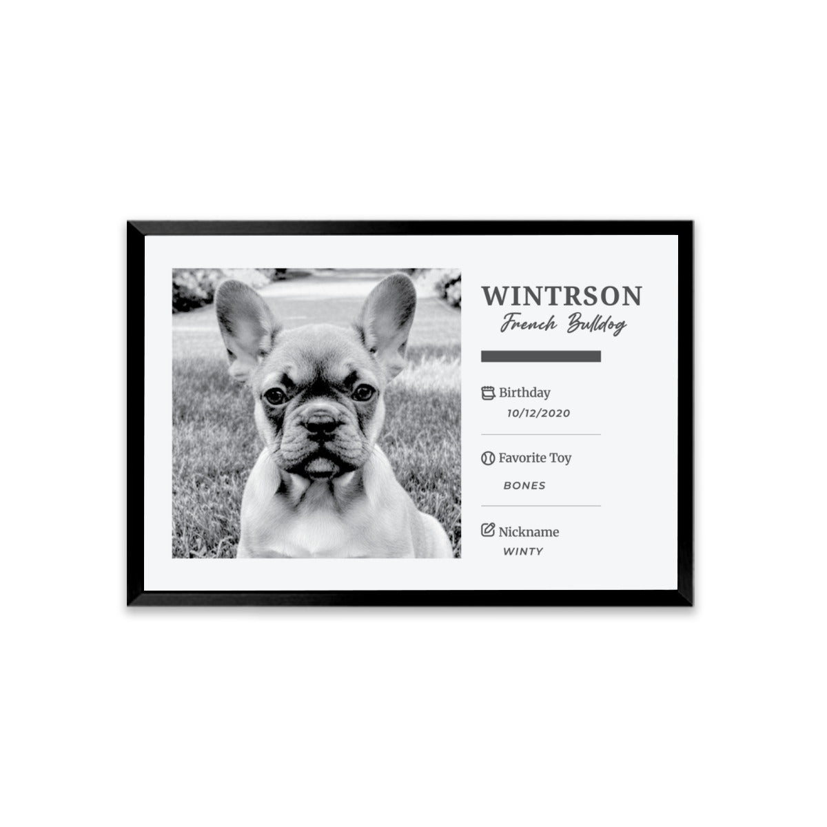Stylish Tinman - Personalized Framed Poster • Wall Decoration for Pet