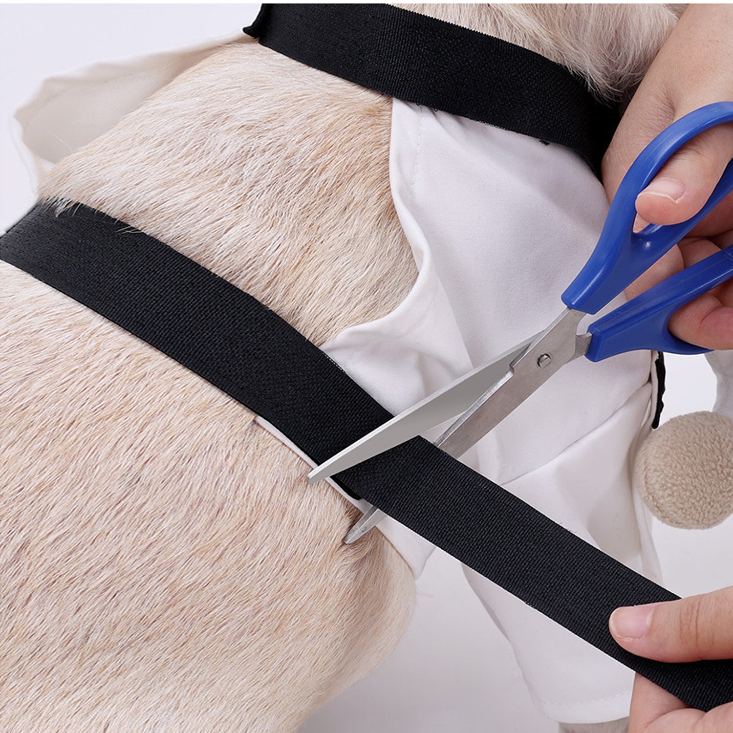 Martial Arts Costume – Funny Halloween Cosplay Outfit Outdoor Use