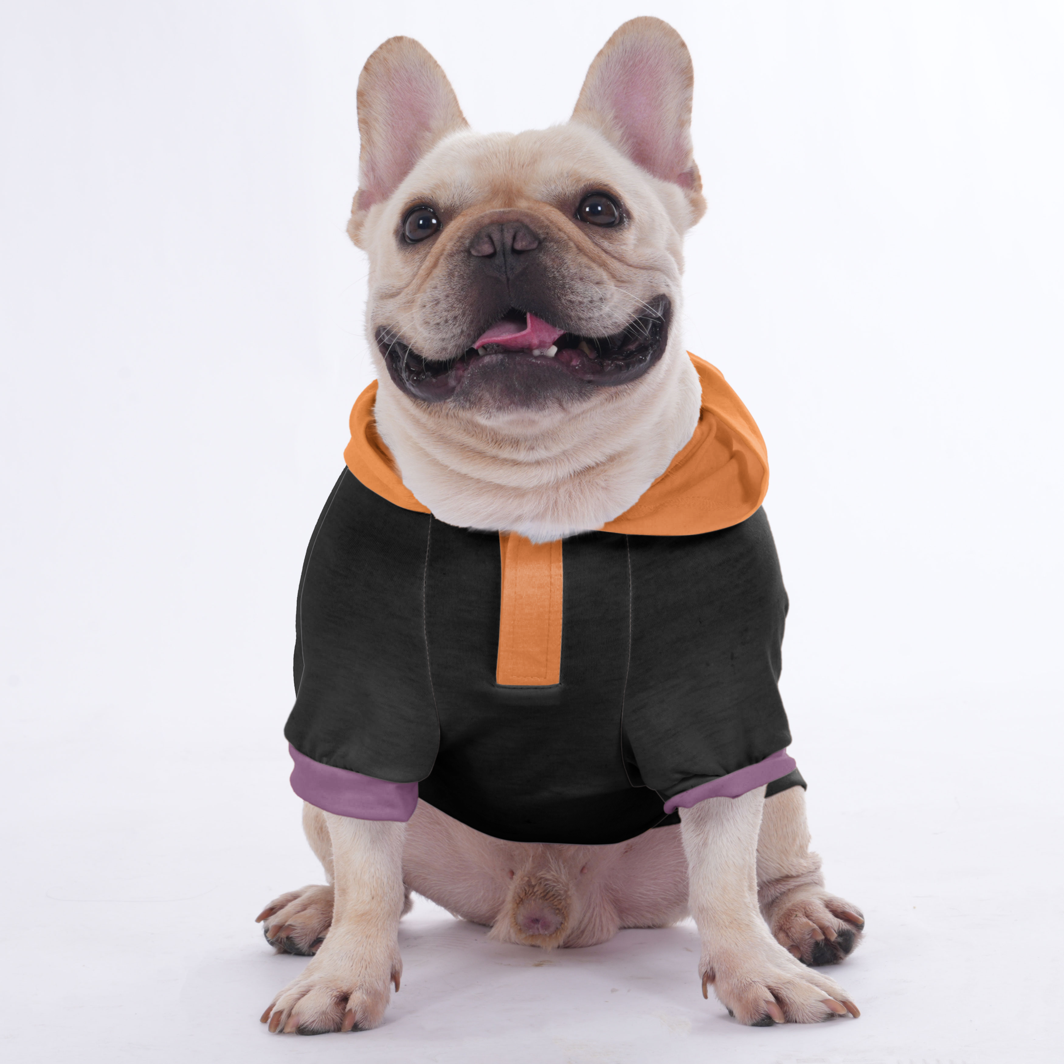 CiCi - Halloween Hoodies for French Bulldog | Frenchie Shop Original