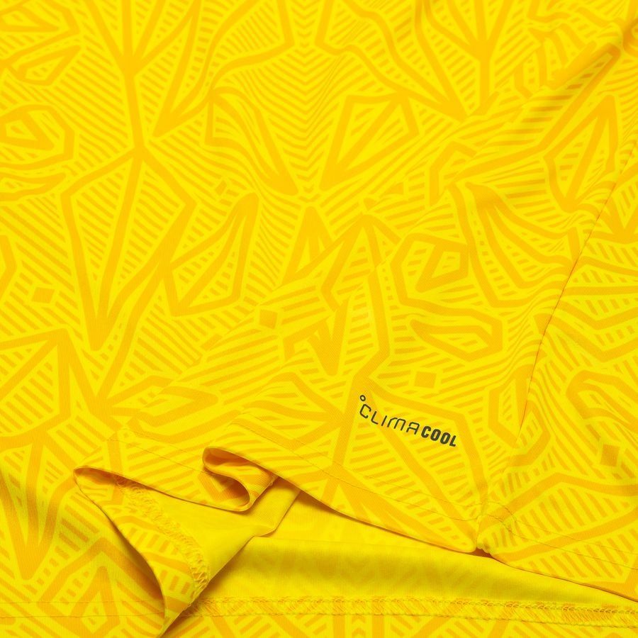 Ukraine Home Shirt 2025/26 Adidas National Team Wear