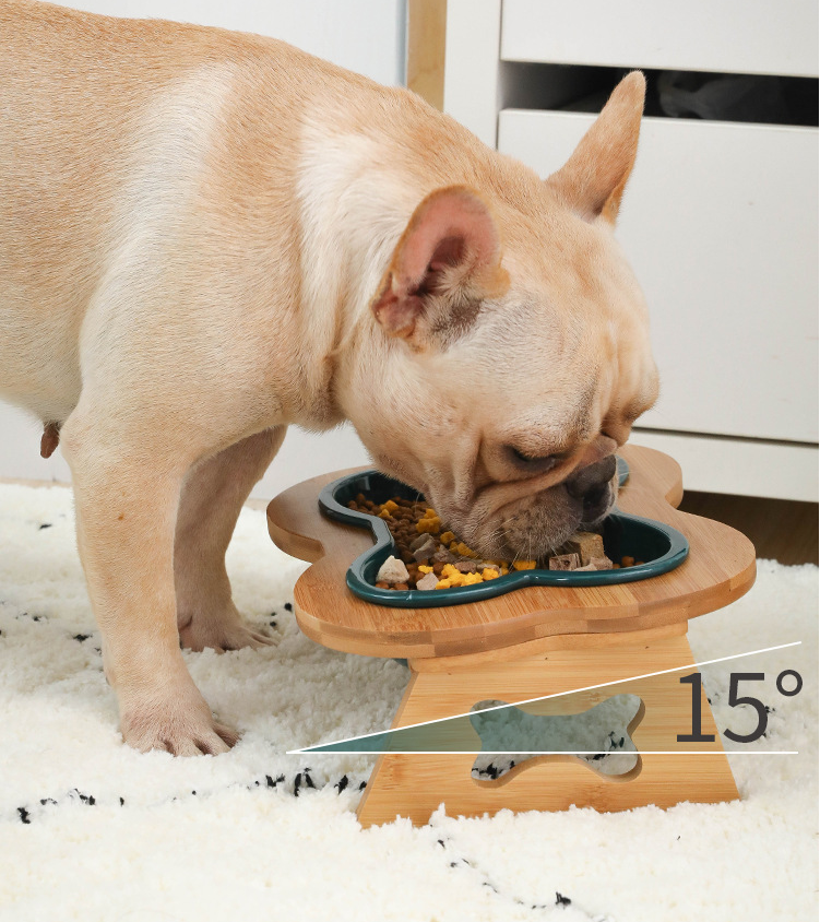 BoneSecure Frenchie Bowl Anti-Overturning Ceramic Bowl in Bone Shape