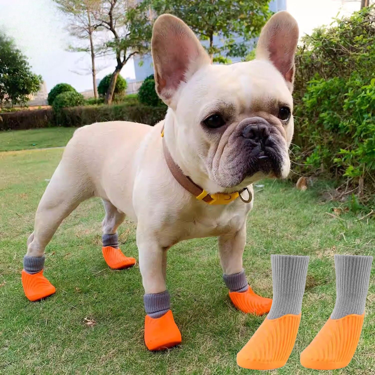 French Bulldog Flexipaws Frenchie Waterproof Rain Boots – High Elastic