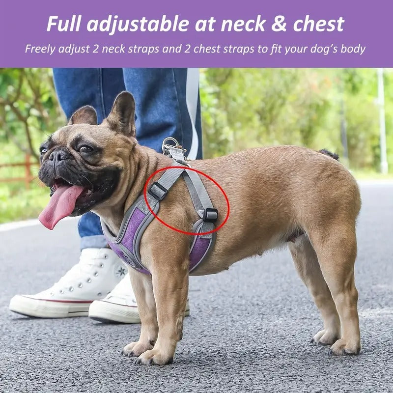 French Bulldog Snugwalk Frenchie Adjustable Harness Leash Set –