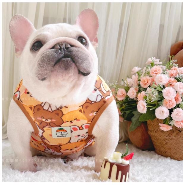 Street-Ready Tailtoon Frenchie Summer Cartoon Vest – Lightweight Brea...