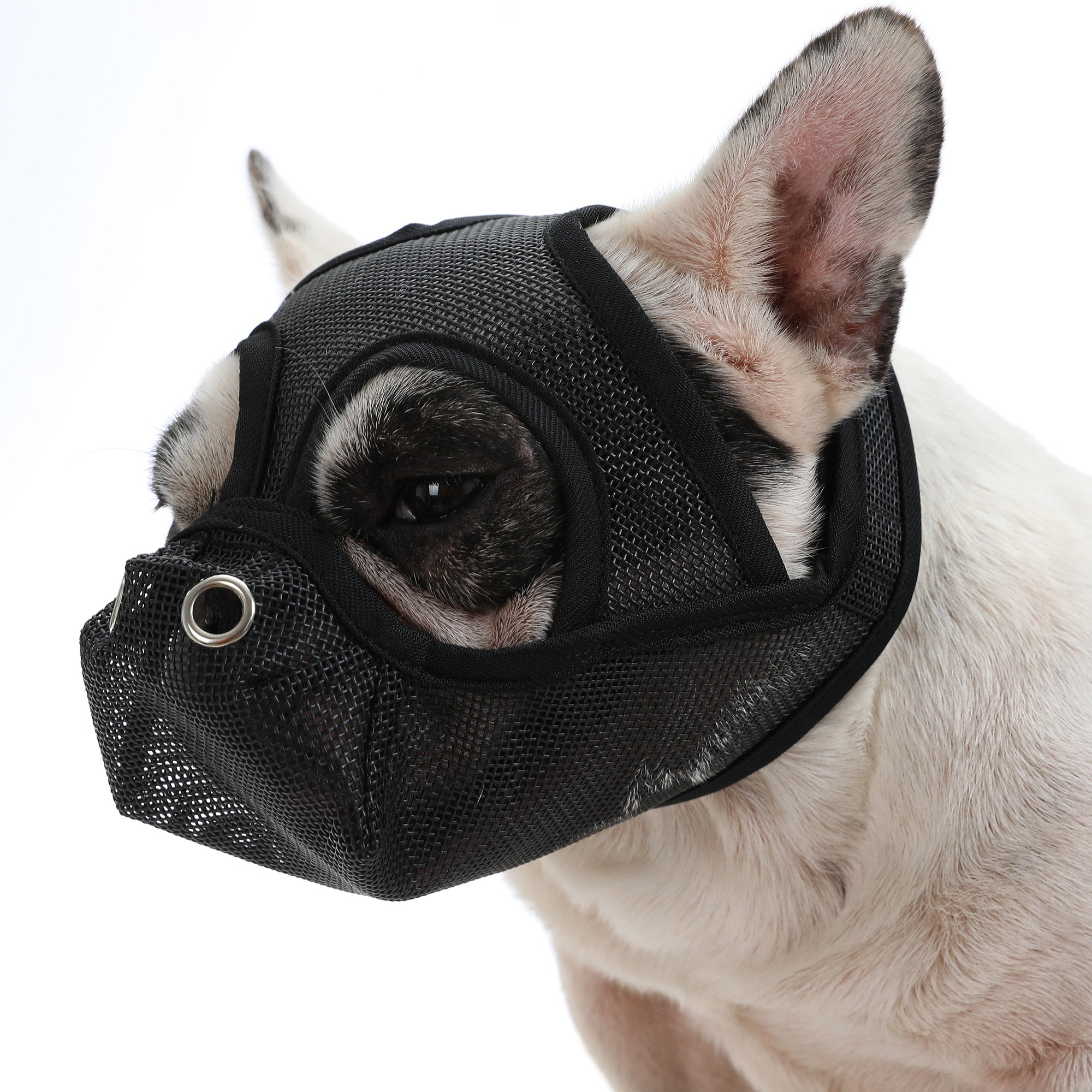 Frenchie Muzzle - Safe Mouth Cover For Enhanced Safety Dog Supplies