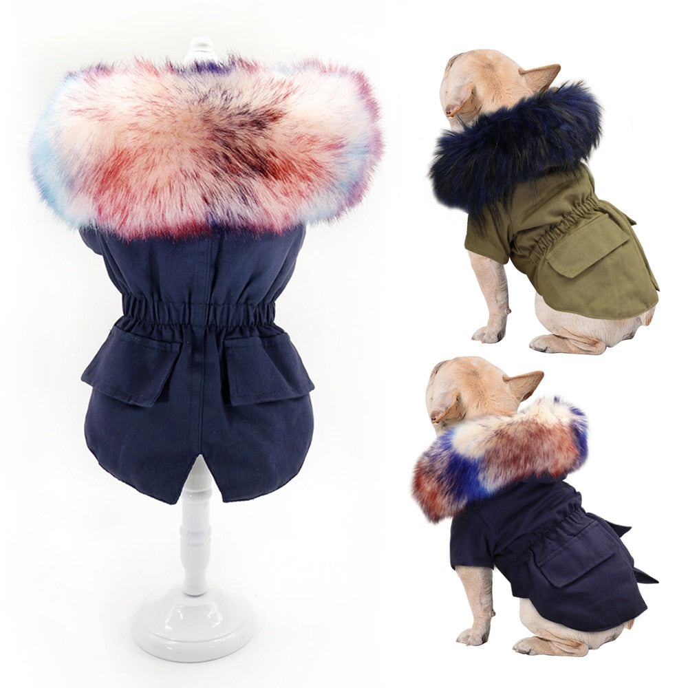 Street-Ready Pawmax Coat V2 - French Bulldog Coat (ws46) for Dog Owners