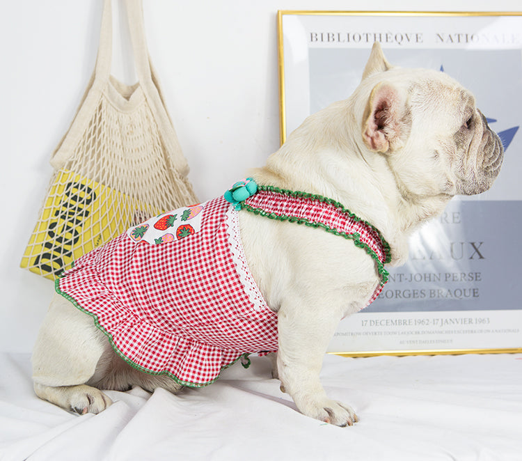 French Bulldog Queen Vest Skirt Frenchie Summer Dress (w318) Durable Dog Item