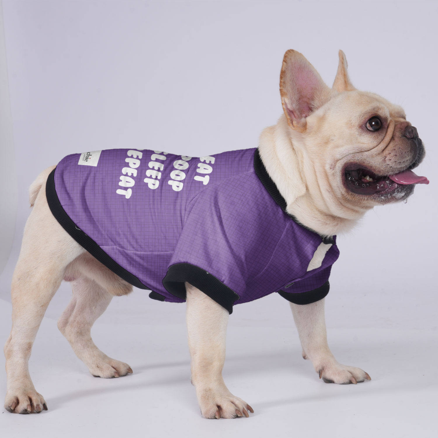 Jacket For French Bulldog For Frenchie Pups | Non-slip Design