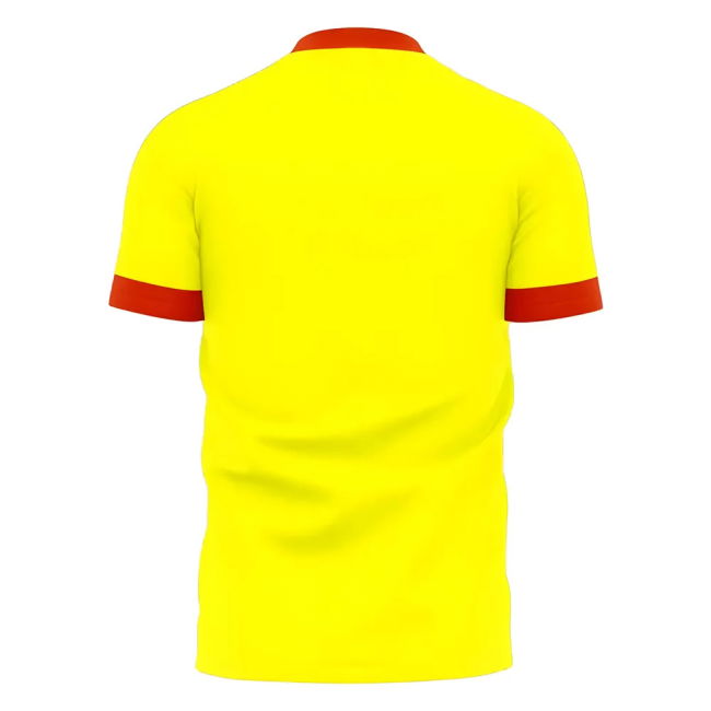 Le Mans 2025-2026 Home Concept Football Kit (Libero) | Comfortable