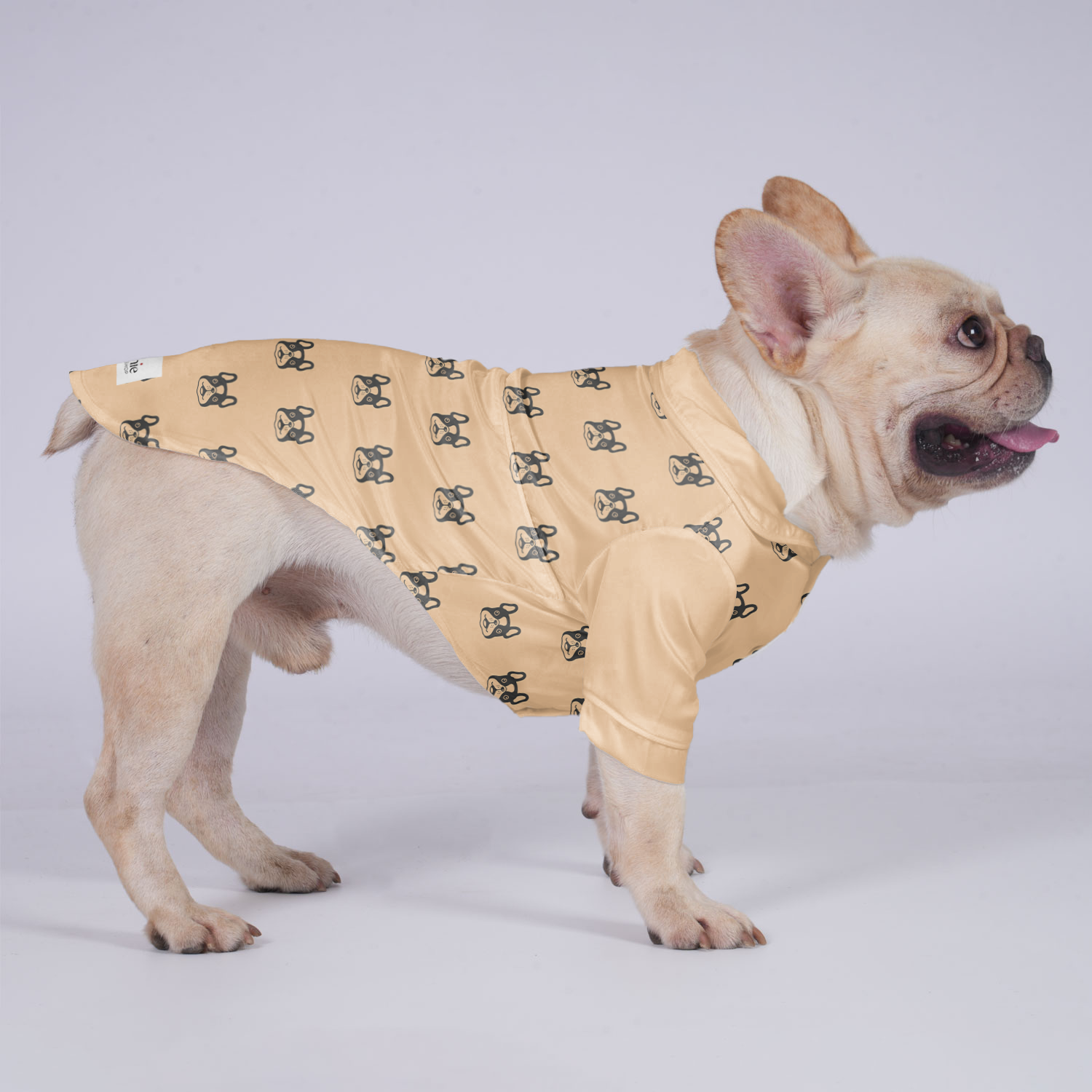 Premium Schweppes - Hawaiian Shirt For Frenchies for Street Style
