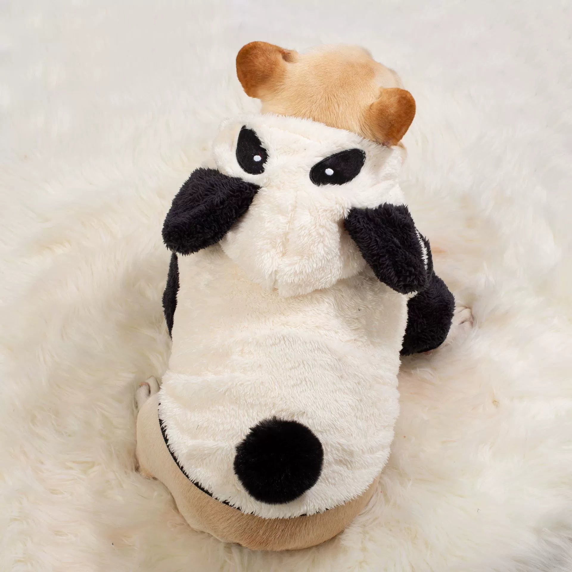 Frenchie Warm Pet Sweater – Plush Thick Coat for Small Bulldogs