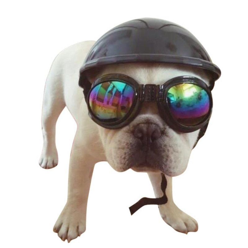 Breed-specific Frenchie Helmets (ws69) For Frenchie Pups