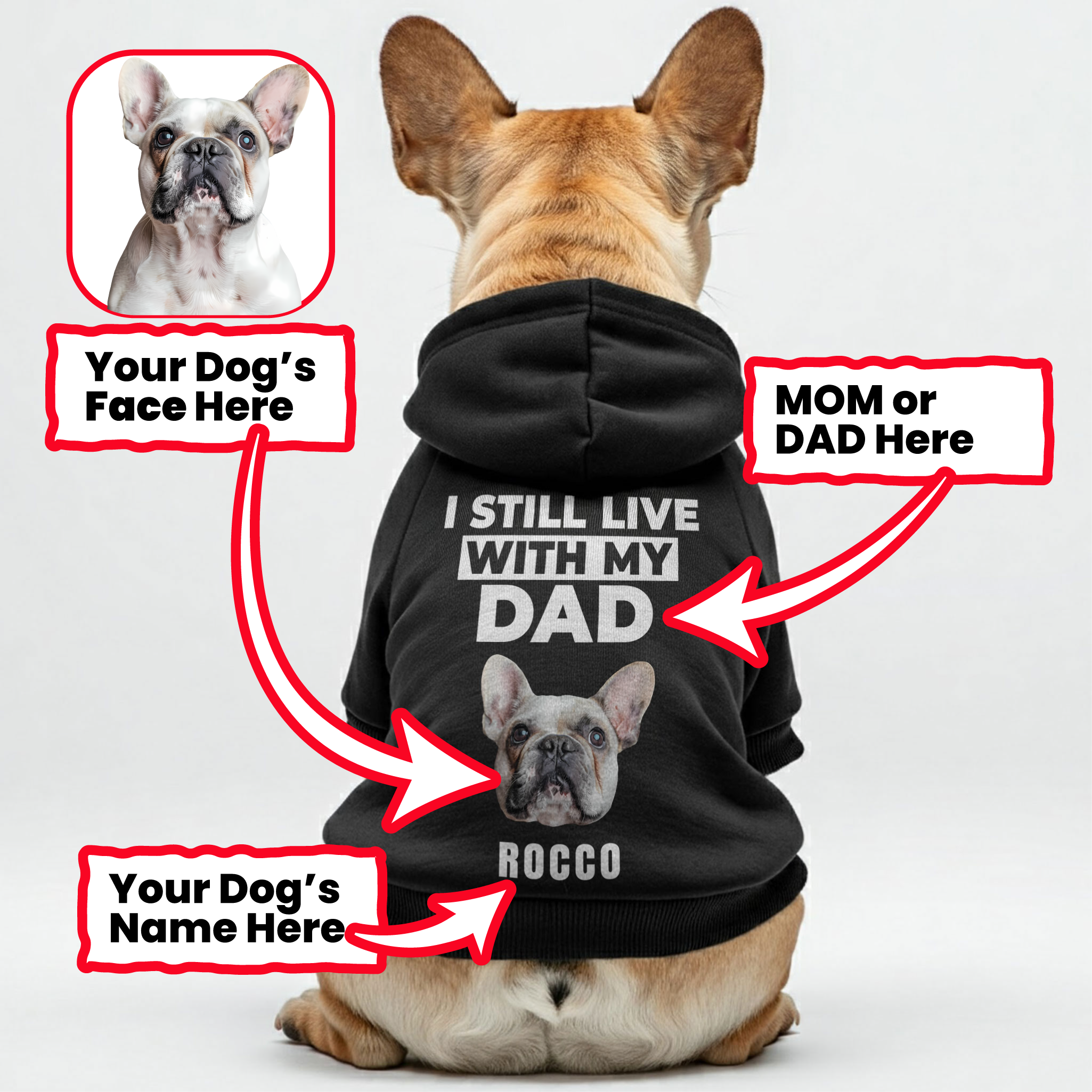 I STILL LIVE - Personalized French Bulldog Hoodies with Funny Quotes, Custom Name, and Custom Image – Stylish, Cozy, and Premium 100% Cotton