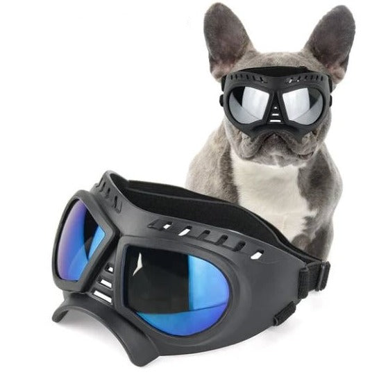French Bulldog Anti-UV Windproof Sunglasses