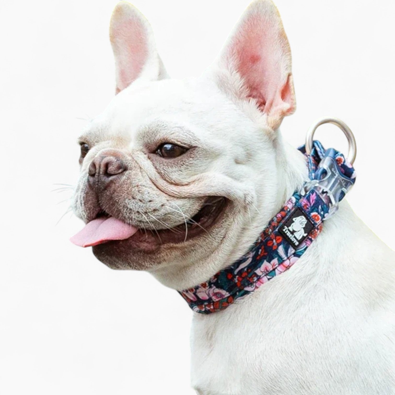 Soft Florish Frenchie Floral Collar – Stylish Durable Cotton Collar f...