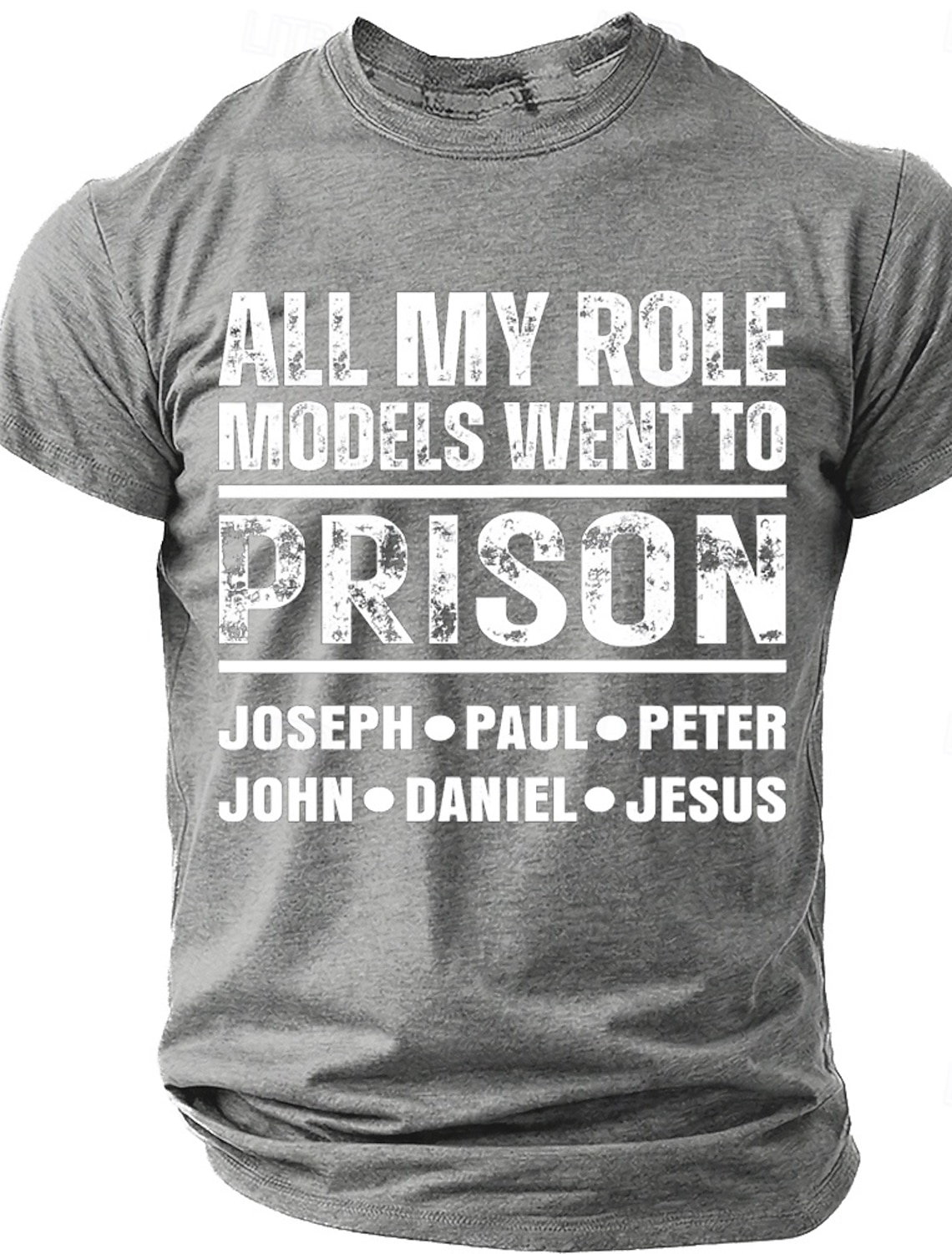 Men's All My Role Models Went To Prison T-Shirt, Funny Christian Bible Tee Gift for Dad