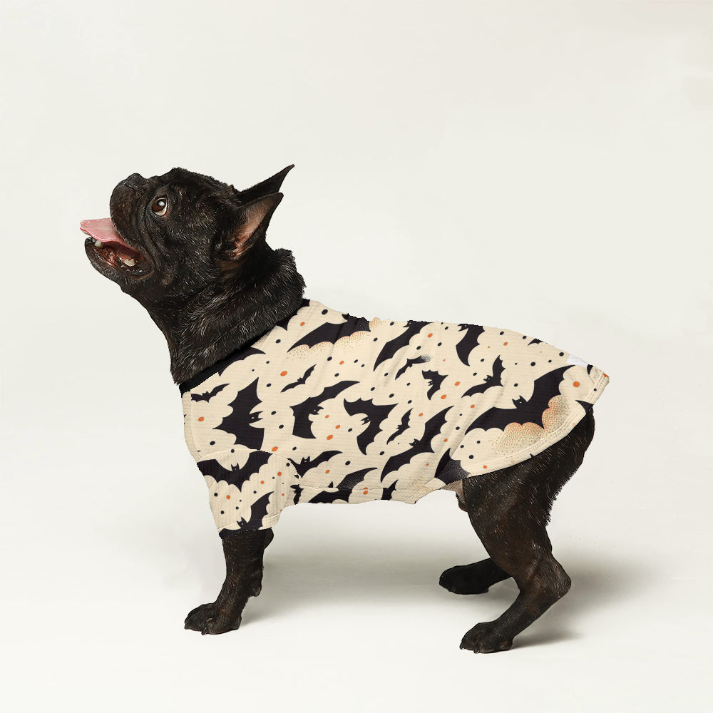 Trendy Fashion-Forward Frank - Wool Sweater For Frenchies for Daily Life