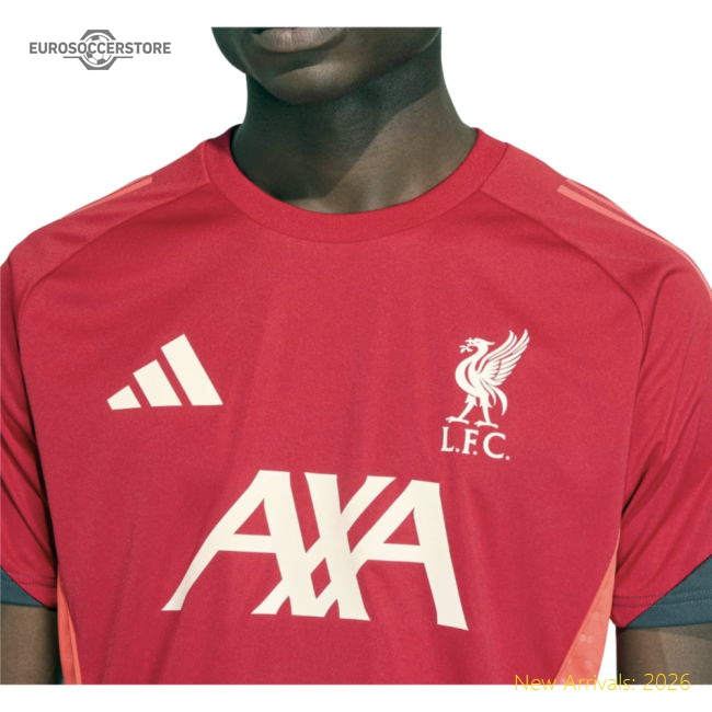 Liverpool 2024-25 Fan Version For Adults Red) Football Shirt