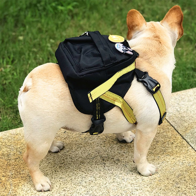 Premium Self Backpack For French Bulldog Ws225 for Casual Outings