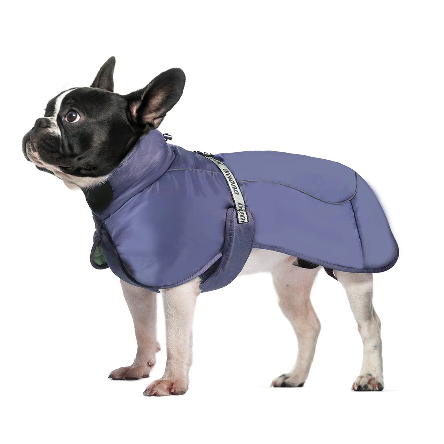 Street-Ready Cozy Frenchie Winter Jacket Thicken Warm Dog Coat for Pet