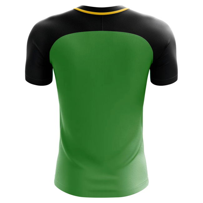 Professional 2025-2026 Guyana Home Concept Football Shirt