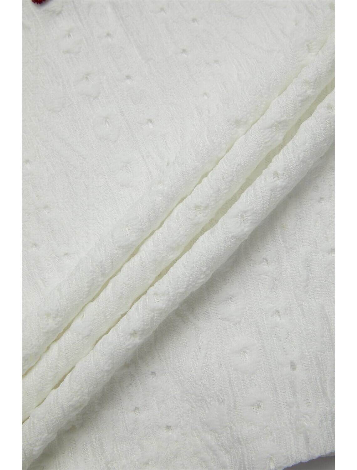 Women's Elegant Lace Tops Eyelet Blouse Floral Embroidery V-Neck Half Sleeve Summer Casual Outdoor Everyday Wear Romantic Petite Tops Summer Holiday Wear