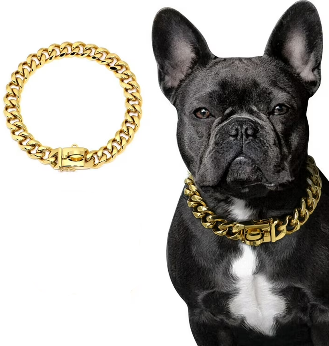 French Bulldog Luxury French Bulldog Chain Collar Stainless Steel 18k