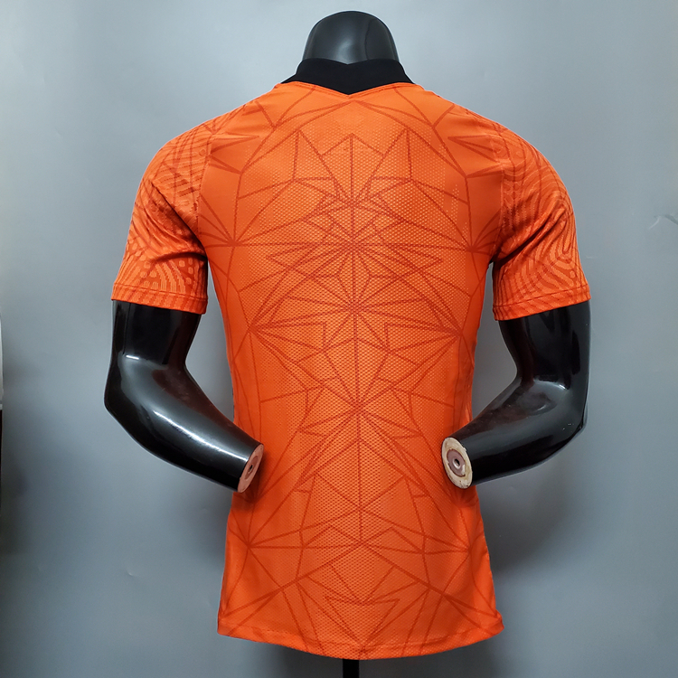 Netherlands Soccer Shirt 2020-21 Home Football Shirt Jersey Player
