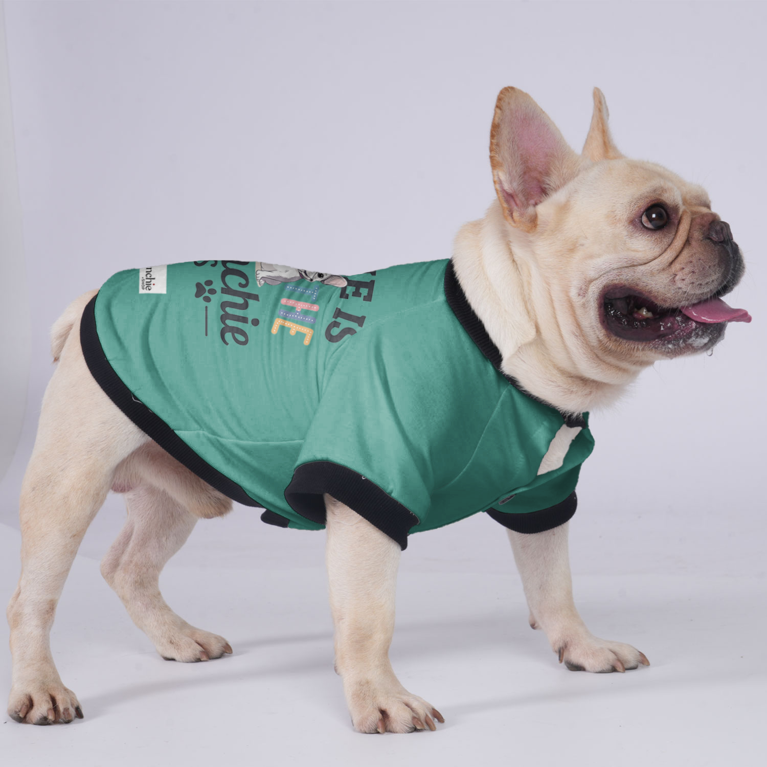 French Bulldog Charlie Jacket For French Bulldog Durable Dog Clothes
