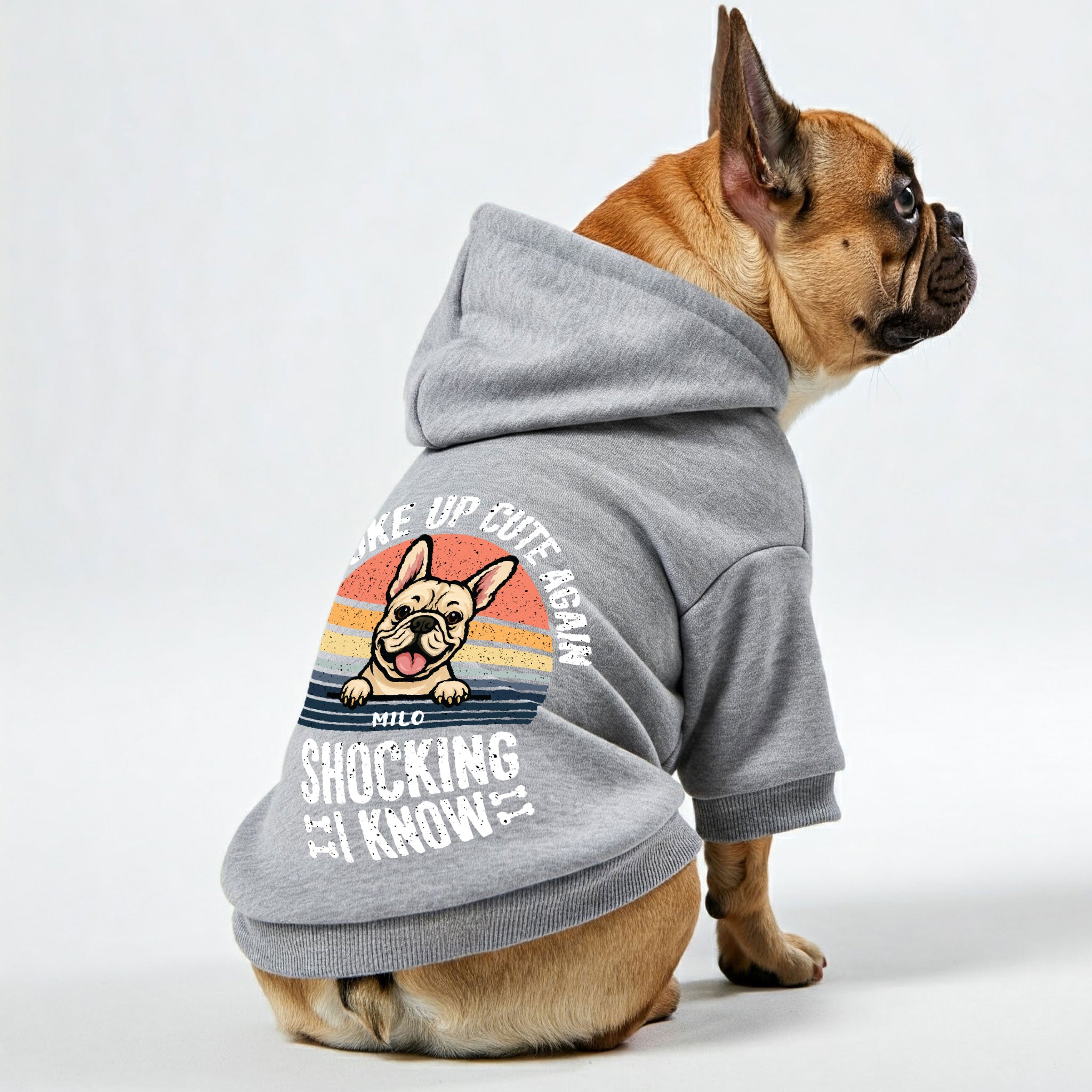 I Woke Up - Everyday Personalized French Bulldog Hoodies With Funny Quotes, Custom Name, And Custom Clipart Matching Your Frenchie's Color – Stylish, Cozy, And Premium 100% Cotton Casual Wear