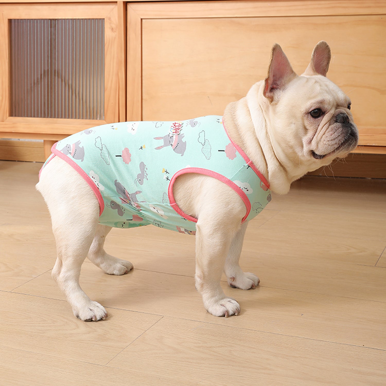 PawJoy French Bulldog Physiological Pants – Cute Comfy Cotton Pants