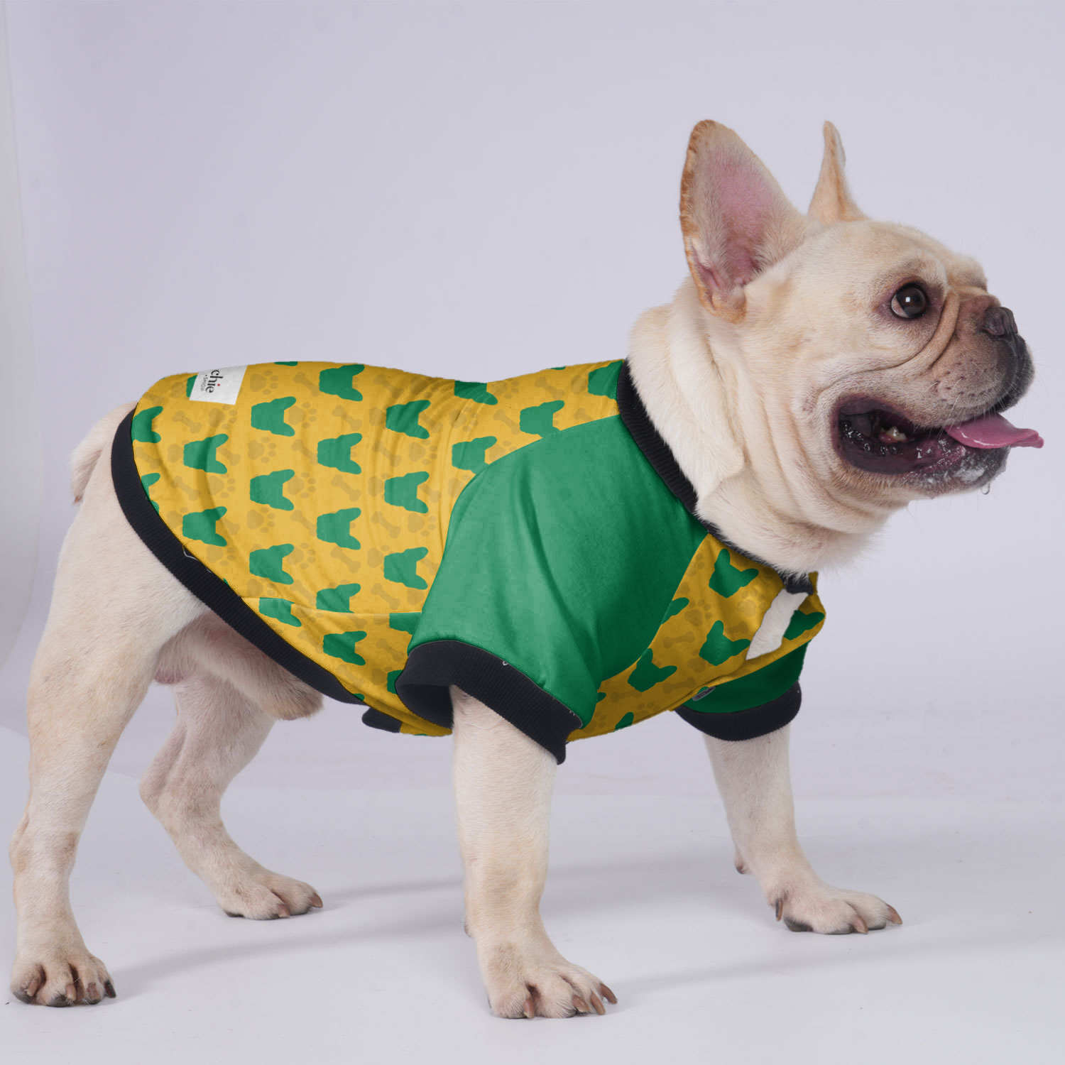Brooklyn - Jacket for French bulldog