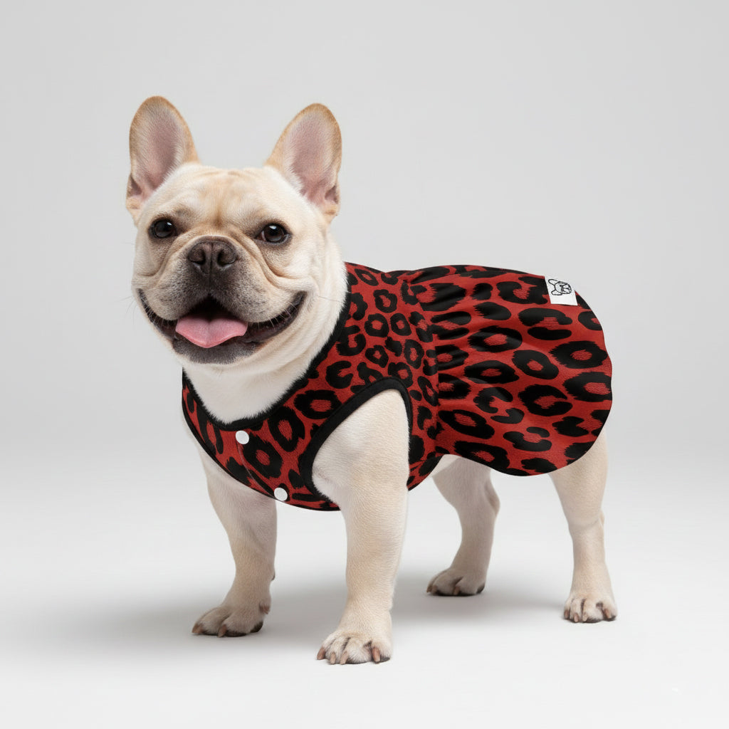 French Bulldog Layla French Bulldog Dresses For Females Durable Dog Item